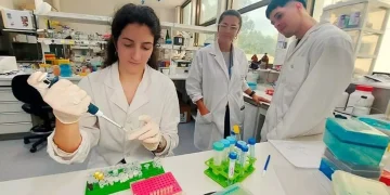 Dengue: científicos argentinos diseñan un test rápido y económico para su detección temprana