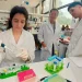 Dengue: científicos argentinos diseñan un test rápido y económico para su detección temprana