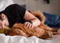 Una experta explica por qué no se recomienda dormir con tu perro o gato: “Existen motivos higiénicos para evitarlo”