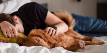 Una experta explica por qué no se recomienda dormir con tu perro o gato: “Existen motivos higiénicos para evitarlo”