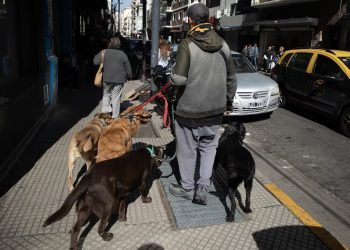 La era de las changas: la informalidad laboral roza el 45% durante la gestión de Milei