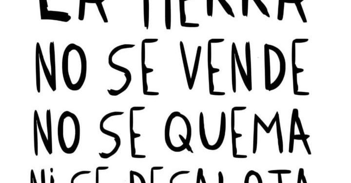 Debate digital por la Ley de Tierras: un estudio revela un fuerte rechazo en redes en la víspera de la sesión en el Senado