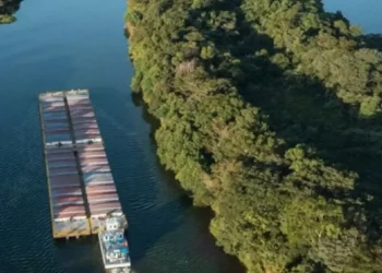Un decreto de Milei y Sturzenegger sobre los prácticos paraliza la entrada y salida de buques en puertos de todo el país