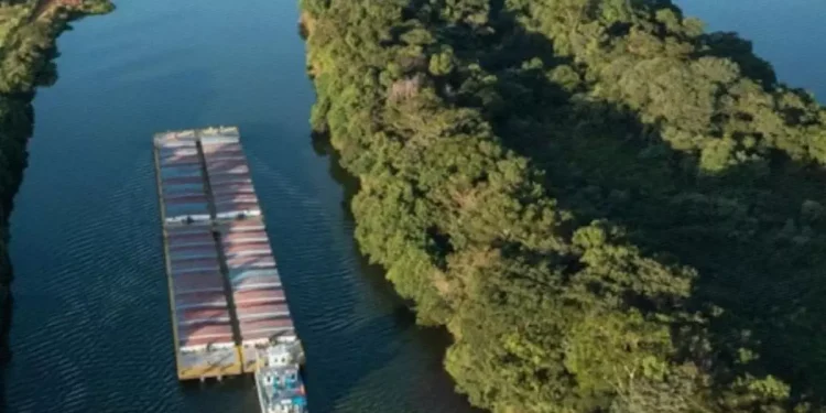 Un decreto de Milei y Sturzenegger sobre los prácticos paraliza la entrada y salida de buques en puertos de todo el país