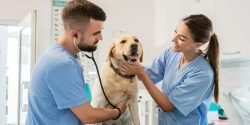 Día del Veterinario y la veterinaria en Argentina: ¿por qué se celebra el 6 de agosto?