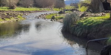Provincia avanza con el saneamiento del Arroyo San Bernardo en Sierra de la Ventana