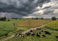 El riesgo climático obliga al agro a repensar su estrategia de negocio