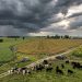 El riesgo climático obliga al agro a repensar su estrategia de negocio