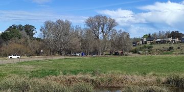 Obras hidráulicas en Tornquist: la intendenta Bordoni detalló los trabajos en Sierra de la Ventana, Villa Ventana y Saldungaray