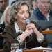 “No es oponerse al progreso, es hacer las cosas bien”: Susana Marcolini respondió al oficialismo y fundamentó el rechazo de la UCR