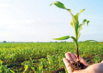Día del Agricultor: Homenaje al esfuerzo, el arraigo y el desarrollo de nuestra tierra