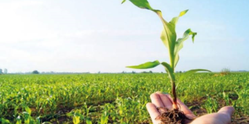 Día del Agricultor: Homenaje al esfuerzo, el arraigo y el desarrollo de nuestra tierra