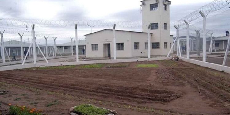 Intensa búsqueda de un preso que escapó de la cárcel de Saavedra