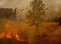 La ONU advierte que la temperatura del planeta superará pronto el límite de seguridad: “Es inevitable”
