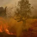 La ONU advierte que la temperatura del planeta superará pronto el límite de seguridad: “Es inevitable”