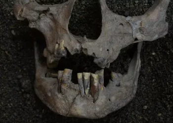 Marcas en los dientes sitúan el primer consumo de drogas de la humanidad hace 25.000 años en Indonesia
