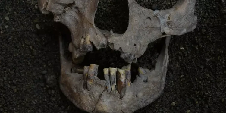 Marcas en los dientes sitúan el primer consumo de drogas de la humanidad hace 25.000 años en Indonesia