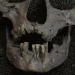 Marcas en los dientes sitúan el primer consumo de drogas de la humanidad hace 25.000 años en Indonesia