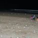 Dia del estudiante en la playa: la fiesta que lastima.