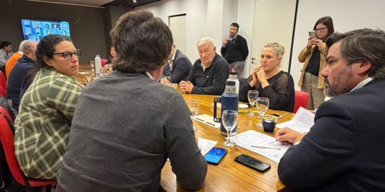 La UCR bonaerense trabaja para ofrecer una solución radical a los eternos problemas de la provincia de Buenos Aires