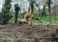 «No nos oponemos a la limpieza, pero las palas gigantes están arrasando con toda la vegetación»: la preocupación de los vecinos de Villa Ventana por las obras en el arroyo Belisario