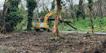 «No nos oponemos a la limpieza, pero las palas gigantes están arrasando con toda la vegetación»: la preocupación de los vecinos de Villa Ventana por las obras en el arroyo Belisario