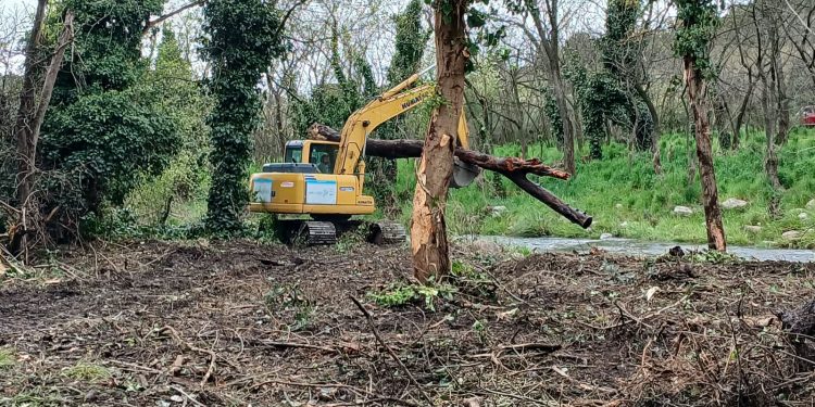 «No nos oponemos a la limpieza, pero las palas gigantes están arrasando con toda la vegetación»: la preocupación de los vecinos de Villa Ventana por las obras en el arroyo Belisario