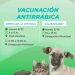 Se realizará una nueva campaña de vacunación antirrábica en Sierra de la Ventana y Saldungaray