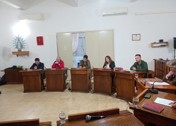 Sesión del HCD: Salud, prórroga presupuestaria y distinciones locales marcaron la agenda