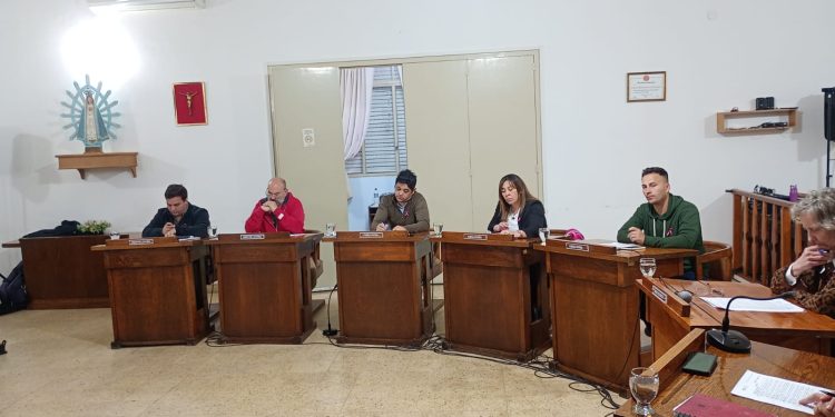 Sesión del HCD: Salud, prórroga presupuestaria y distinciones locales marcaron la agenda