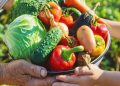 Día Mundial de la Alimentación: un llamado global para combatir el hambre y la mala alimentación