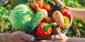 Día Mundial de la Alimentación: un llamado global para combatir el hambre y la mala alimentación