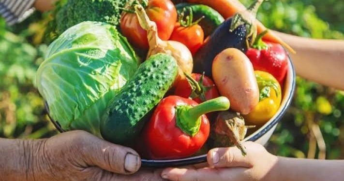 Día Mundial de la Alimentación: un llamado global para combatir el hambre y la mala alimentación