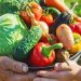 Día Mundial de la Alimentación: un llamado global para combatir el hambre y la mala alimentación