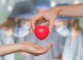 Día Mundial de la Donación de Órganos y Tejidos: una fecha para concientizar sobre el acto de regalar vida