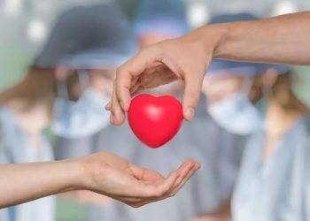 Día Mundial de la Donación de Órganos y Tejidos: una fecha para concientizar sobre el acto de regalar vida