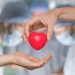 Día Mundial de la Donación de Órganos y Tejidos: una fecha para concientizar sobre el acto de regalar vida