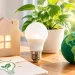 Día Mundial del Ahorro de Energía: ¿por qué se celebra el 21 de octubre?